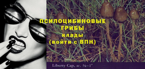шишки Домодедово
