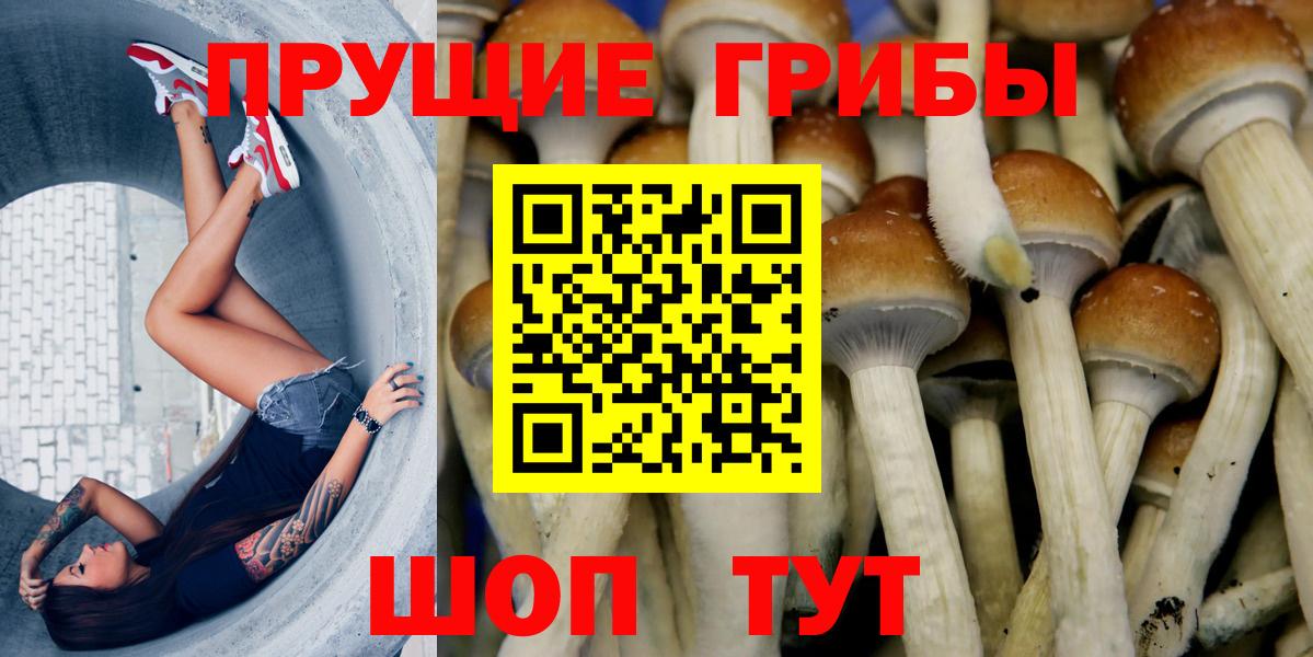 Псилоцибиновые грибы Magic Shrooms Алапаевск